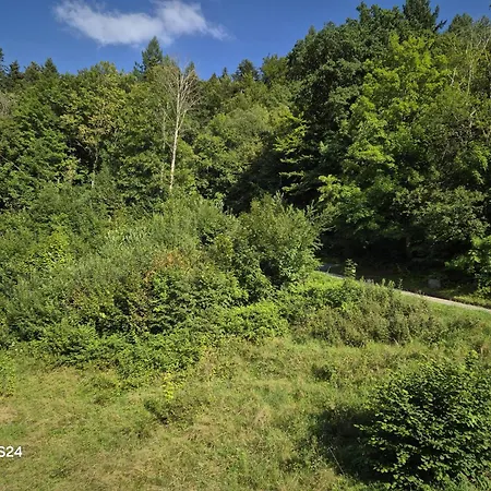 Apartment Ausblick Bad Wildbad